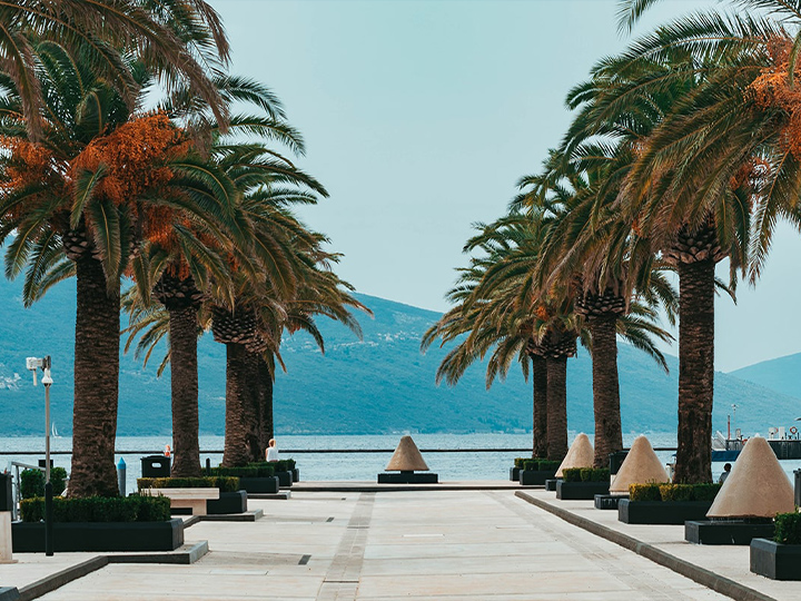 Budva and Tivat (afternoon)