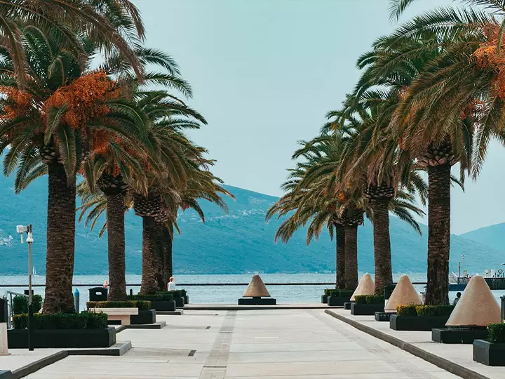 Budva and Tivat (afternoon)